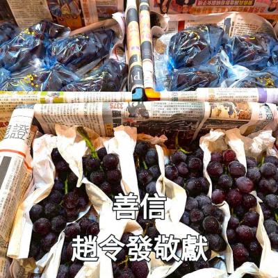 114年 - 善信執事物供合集