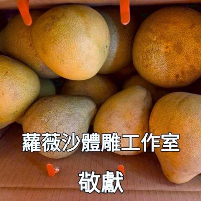 114年 - 善信執事物供合集