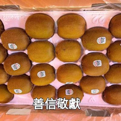 114年 - 善信執事物供合集