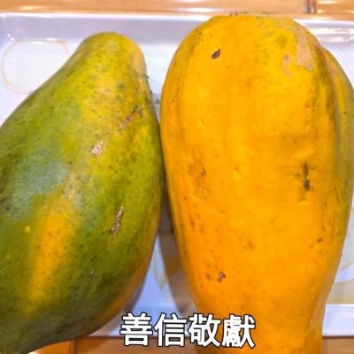 114年 - 善信執事物供合集