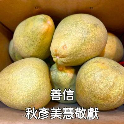 114年 - 善信執事物供合集