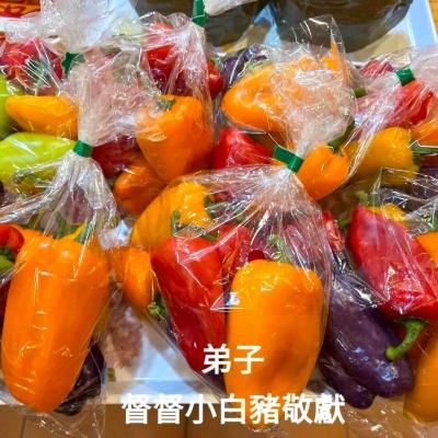 114年 - 善信執事物供合集