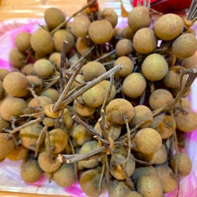 114年 - 善信執事物供合集