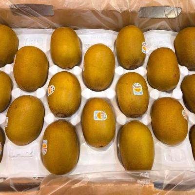 114年 - 善信執事物供合集