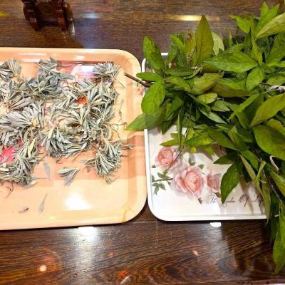 114年 - 善信執事物供合集