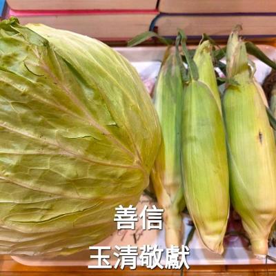 114年 - 善信執事物供合集