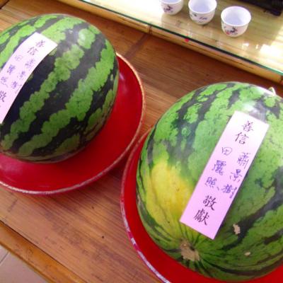 景樹、麗照