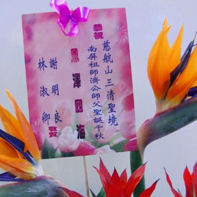 明良、淑卿