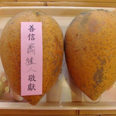 蕭顧問爐人