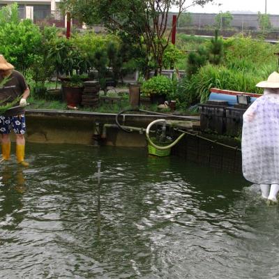 撈捕並分類魚群