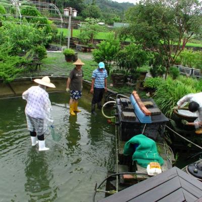 撈捕並分類魚群