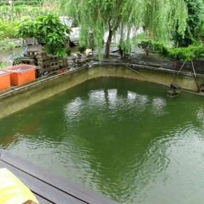 龍池洩水