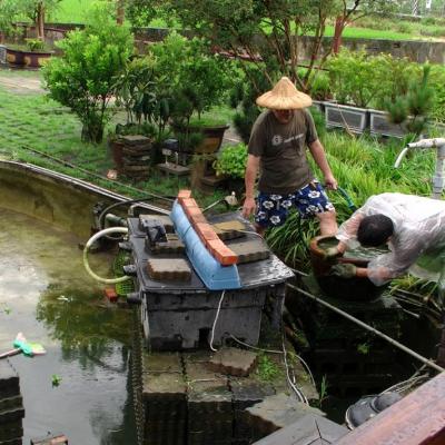 清理龍池