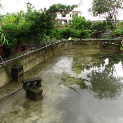 龍池汙泥