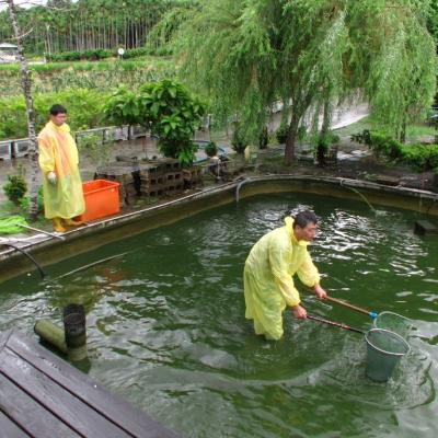 撈捕並分類魚群