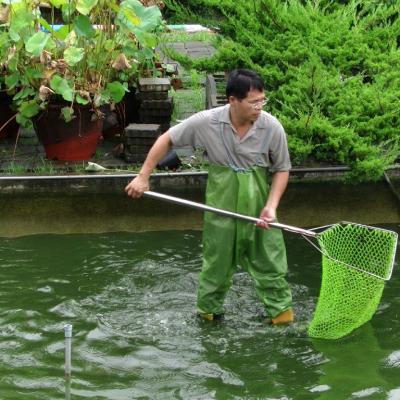 撈捕並分類魚群
